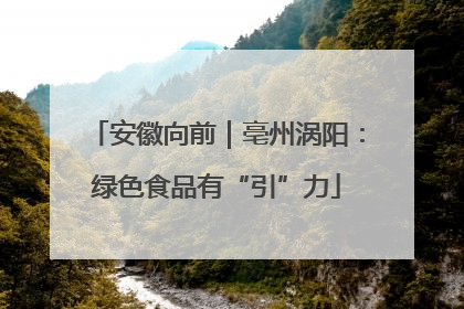安徽向前｜亳州涡阳：绿色食品有“引”力