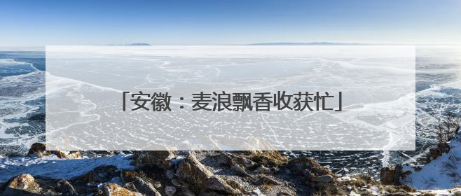 安徽：麦浪飘香收获忙