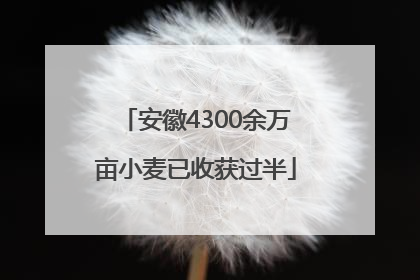 安徽4300余万亩小麦已收获过半