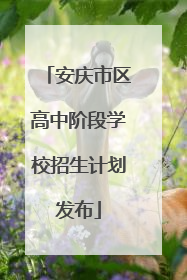 安庆市区高中阶段学校招生计划发布