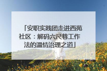 安职实践团走进西苑社区：解码六尺巷工作法的温情治理之道