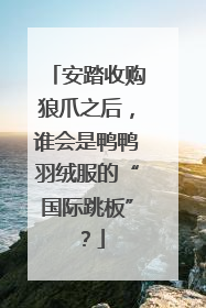 安踏收购狼爪之后，谁会是鸭鸭羽绒服的“国际跳板”？