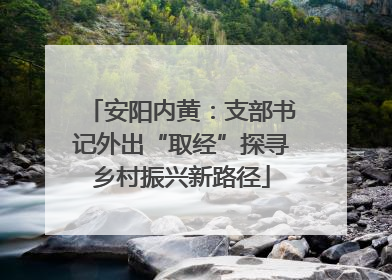 安阳内黄：支部书记外出“取经”探寻乡村振兴新路径