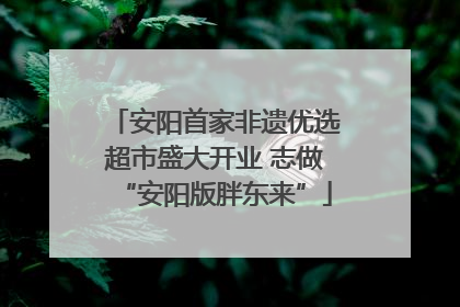 安阳首家非遗优选超市盛大开业 志做“安阳版胖东来”