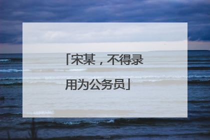宋某，不得录用为公务员
