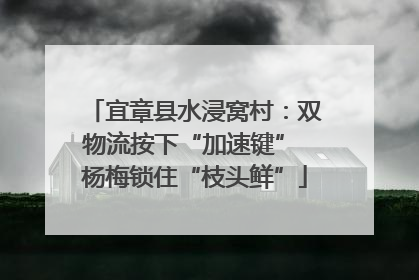 宜章县水浸窝村：双物流按下“加速键” 杨梅锁住“枝头鲜”