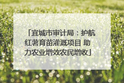 宜城市审计局：护航红薯育苗灌溉项目 助力农业增效农民增收