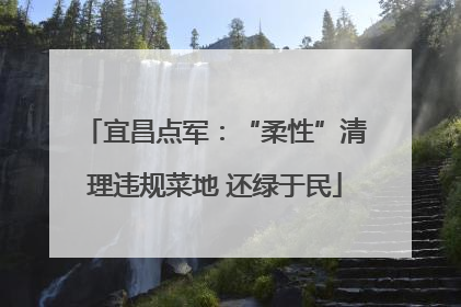 宜昌点军：“柔性”清理违规菜地 还绿于民