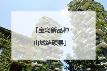 宝岛新品种 山城结硕果