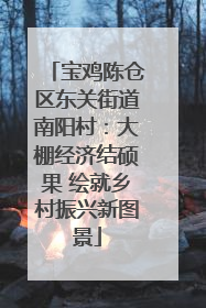 宝鸡陈仓区东关街道南阳村：大棚经济结硕果 绘就乡村振兴新图景
