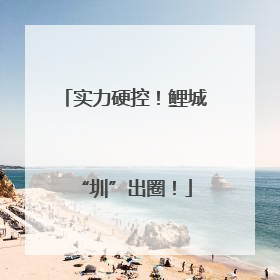实力硬控！鲤城“圳”出圈！