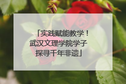 实践赋能教学！武汉文理学院学子探寻千年非遗