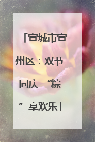 宣城市宣州区：双节同庆 “粽”享欢乐