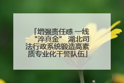 增强责任感 一线“淬真金” 湖北司法行政系统锻造高素质专业化干警队伍