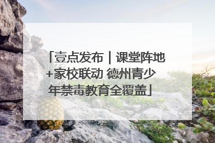 壹点发布｜课堂阵地+家校联动 德州青少年禁毒教育全覆盖
