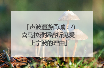 声波漫游甬城：在喜马拉雅播客听见爱上宁波的理由