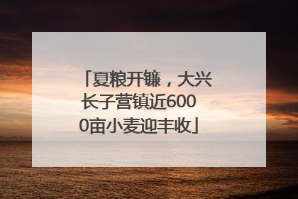 夏粮开镰，大兴长子营镇近6000亩小麦迎丰收