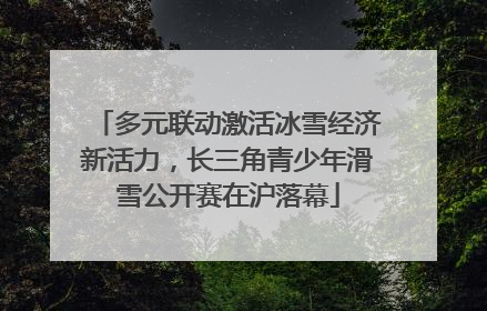 多元联动激活冰雪经济新活力，长三角青少年滑雪公开赛在沪落幕