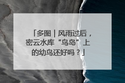 多图｜风雨过后，密云水库“鸟岛”上的幼鸟还好吗？