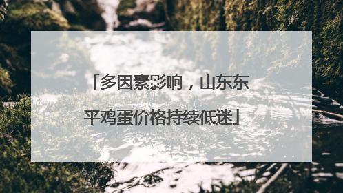 多因素影响，山东东平鸡蛋价格持续低迷