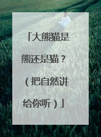 大熊猫是熊还是猫？（把自然讲给你听）