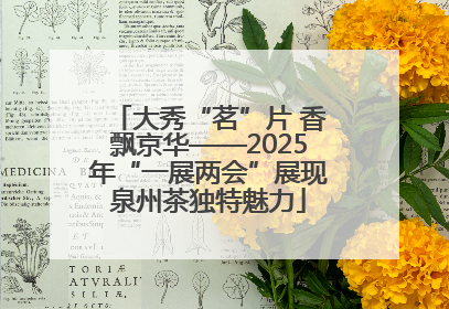 大秀“茗”片 香飘京华——2025年“一展两会”展现泉州茶独特魅力