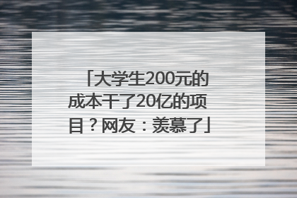 大学生200元的成本干了20亿的项目？网友：羡慕了