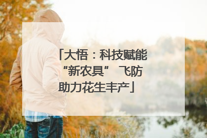 大悟：科技赋能“新农具” 飞防助力花生丰产