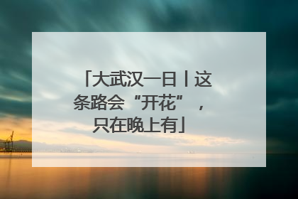 大武汉一日丨这条路会“开花”，只在晚上有