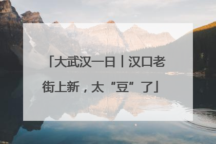 大武汉一日︱汉口老街上新，太“豆”了