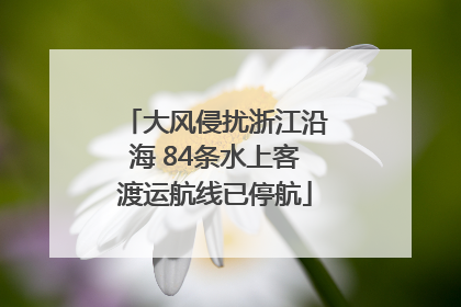 大风侵扰浙江沿海 84条水上客渡运航线已停航