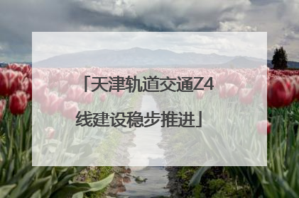 天津轨道交通Z4线建设稳步推进
