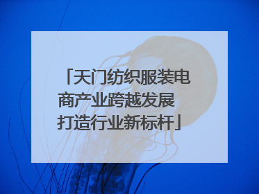 天门纺织服装电商产业跨越发展 打造行业新标杆