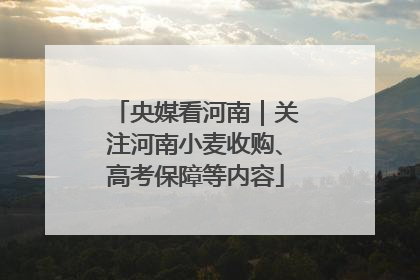 央媒看河南｜关注河南小麦收购、高考保障等内容