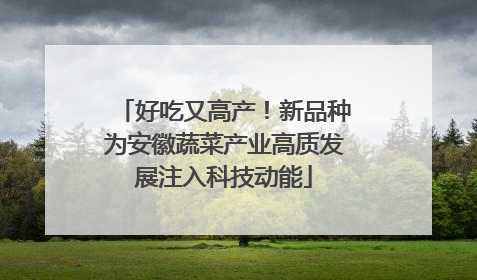 好吃又高产！新品种为安徽蔬菜产业高质发展注入科技动能