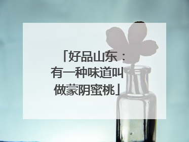 好品山东：有一种味道叫做蒙阴蜜桃