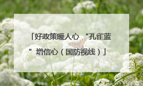 好政策暖人心 “孔雀蓝”增信心（国防视线）
