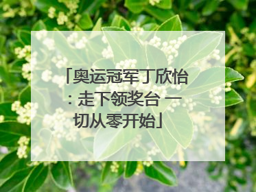 奥运冠军丁欣怡：走下领奖台 一切从零开始