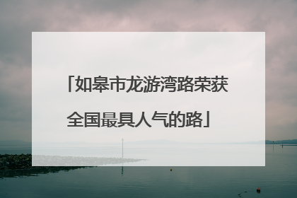如皋市龙游湾路荣获全国最具人气的路