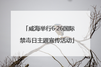 威海举行6·26国际禁毒日主题宣传活动
