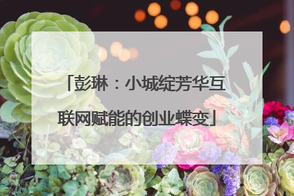 彭琳：小城绽芳华互联网赋能的创业蝶变