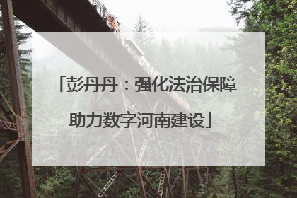 彭丹丹：强化法治保障 助力数字河南建设
