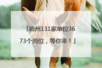 德州131家单位3673个岗位，等你来！