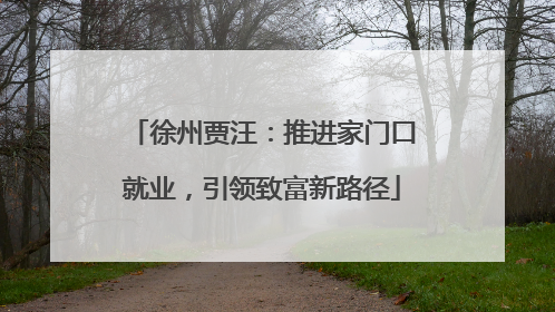 徐州贾汪：推进家门口就业，引领致富新路径