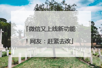 微信又上线新功能！网友：赶紧去改