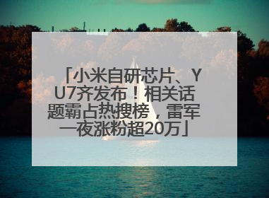 小米自研芯片、YU7齐发布！相关话题霸占热搜榜，雷军一夜涨粉超20万