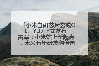 小米自研芯片玄戒O1、YU7正式发布 雷军：小米站上新起点，未来五年研发翻倍再投2000亿元
