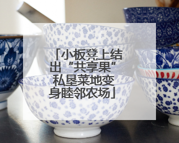 小板凳上结出“共享果” 私垦菜地变身睦邻农场