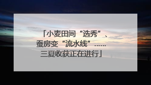 小麦田间“选秀”、蚕房变“流水线”……三夏收获正在进行