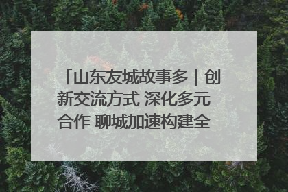 山东友城故事多｜创新交流方式 深化多元合作 聊城加速构建全球友城新格局